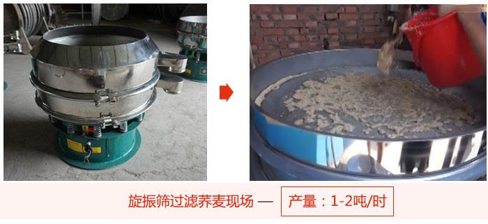 旋振篩過濾蕎麥現場，產量可達2噸每小時。